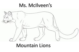 mountain lions mountain lions